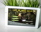 koniec internetu life of wolf modecom Płatne symulator wilka 